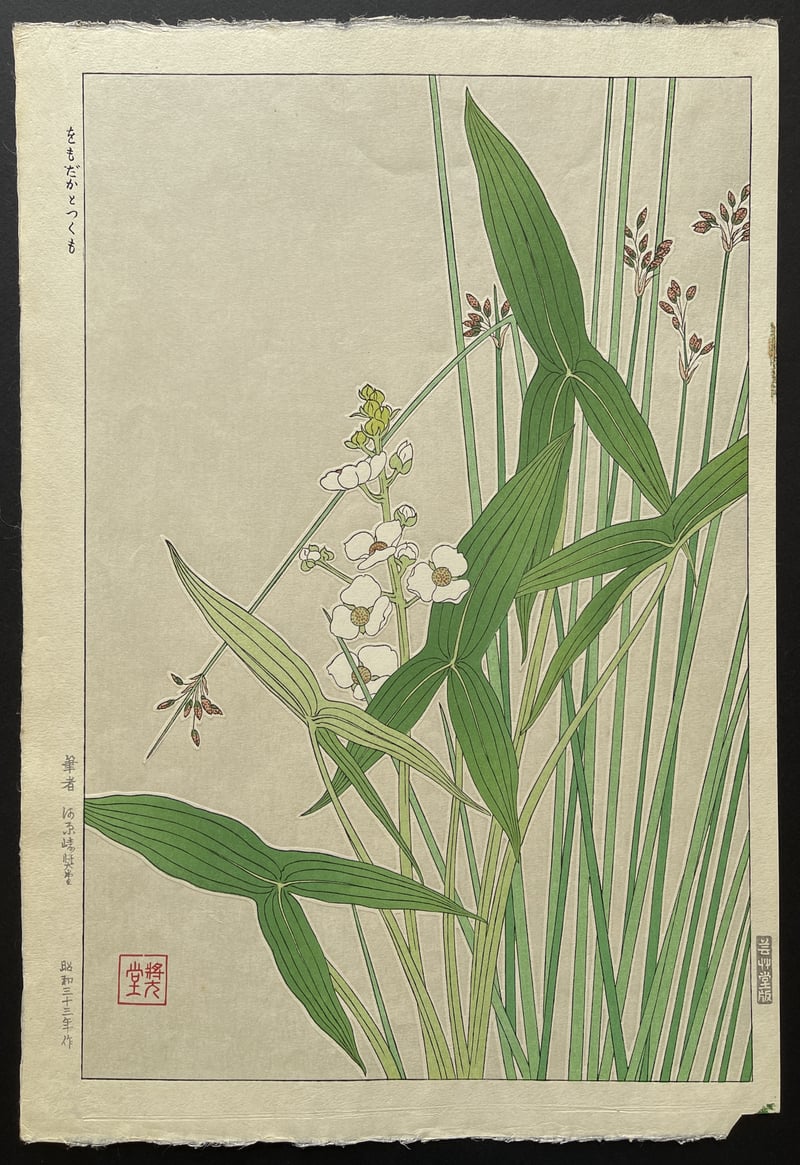 Arrowhead (First Edition) by Kawarazaki Shodo
