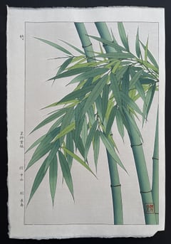 Bamboo