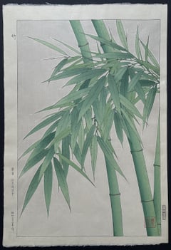 Bamboo (First Edition)