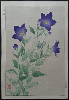 Bellflower (First Edition)