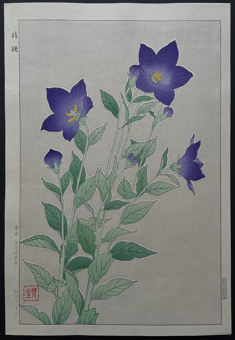 Bellflower (First Edition) by Kawarazaki Shodo