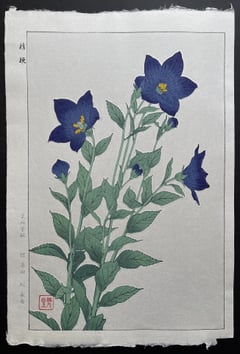 Bellflower