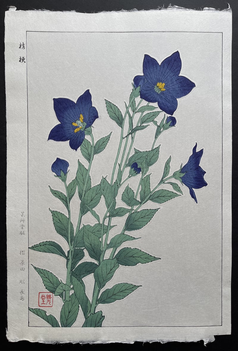 Bellflower by Kawarazaki Shodo