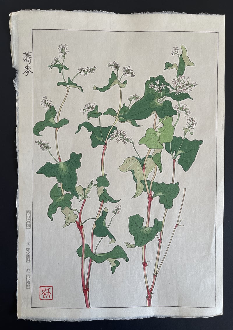 Buckwheat (Shinmi) by Kawarazaki Shodo