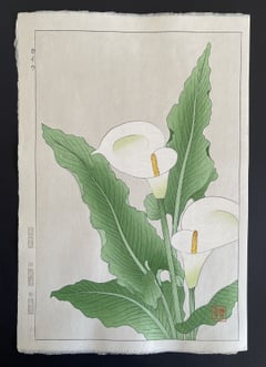 Calla lily (Shinmi)