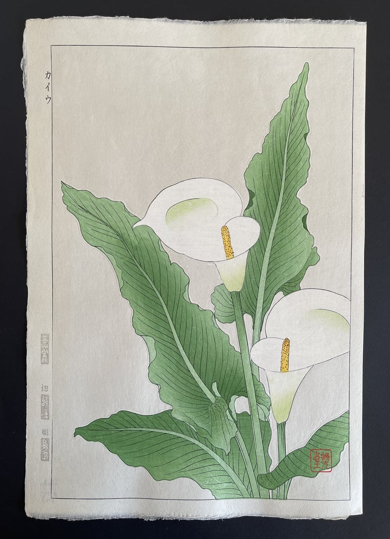 Calla lily (Shinmi) by Kawarazaki Shodo