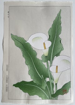 Calla lily