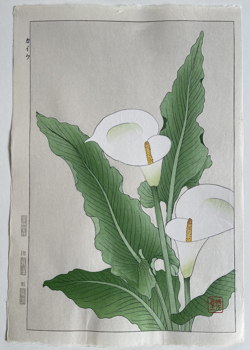 Calla lily by Kawarazaki Shodo