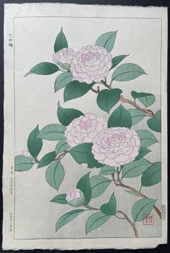 Camelia (First Edition)