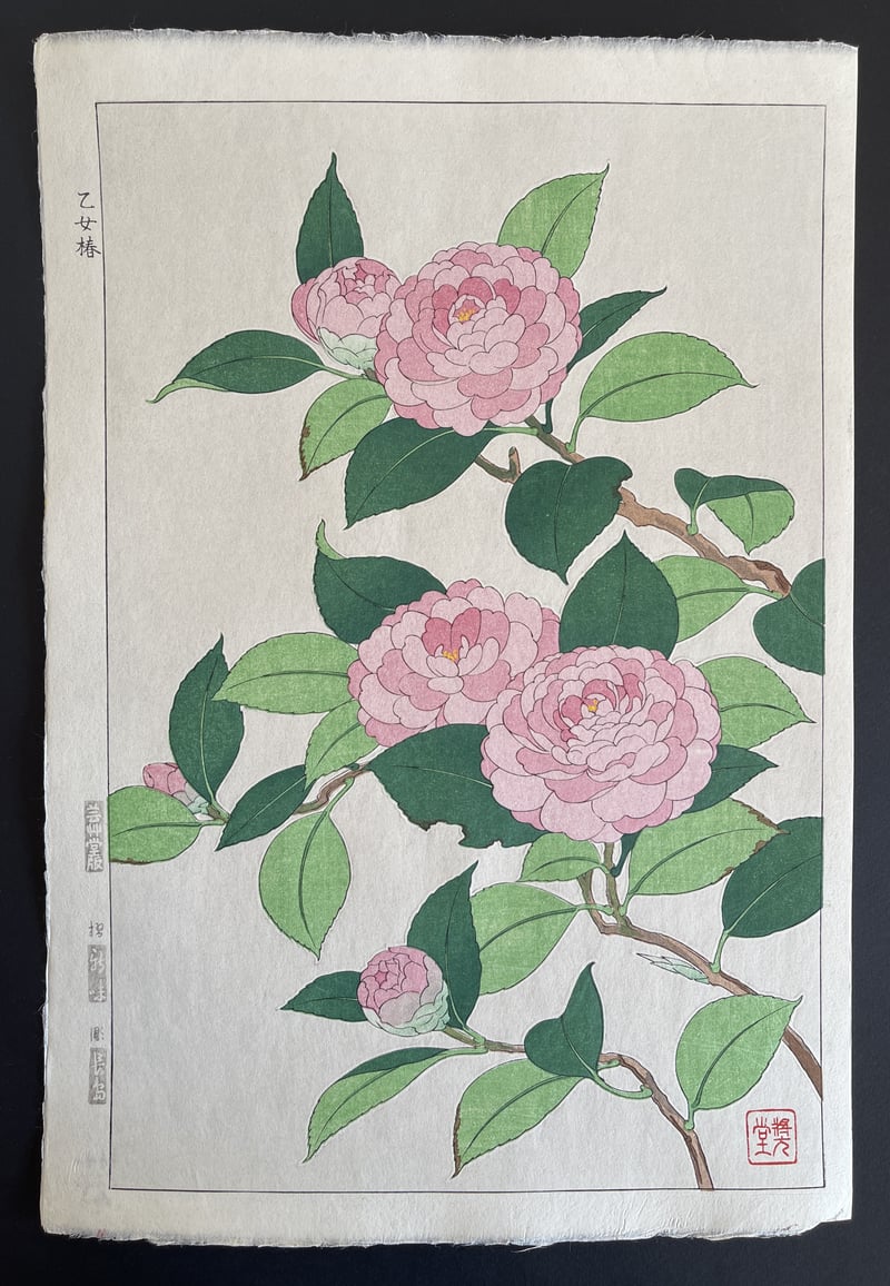 Camelia (Shinmi) by Kawarazaki Shodo