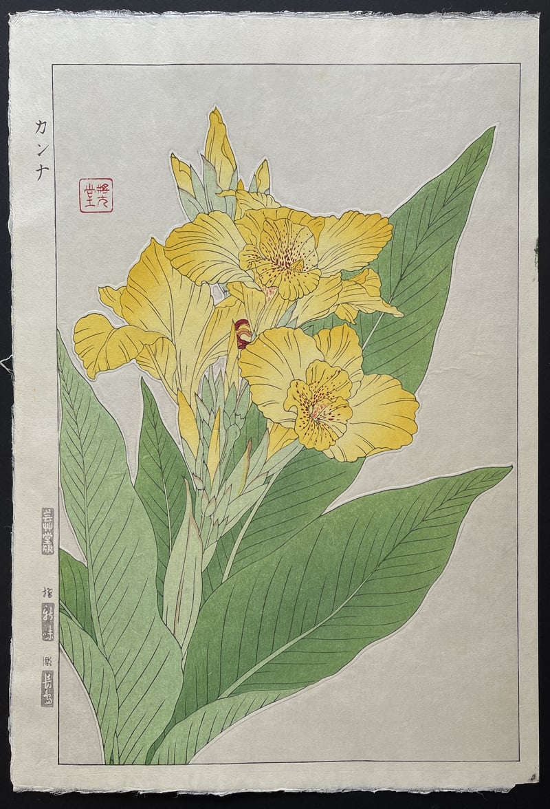 Canna (Shinmi) by Kawarazaki Shodo