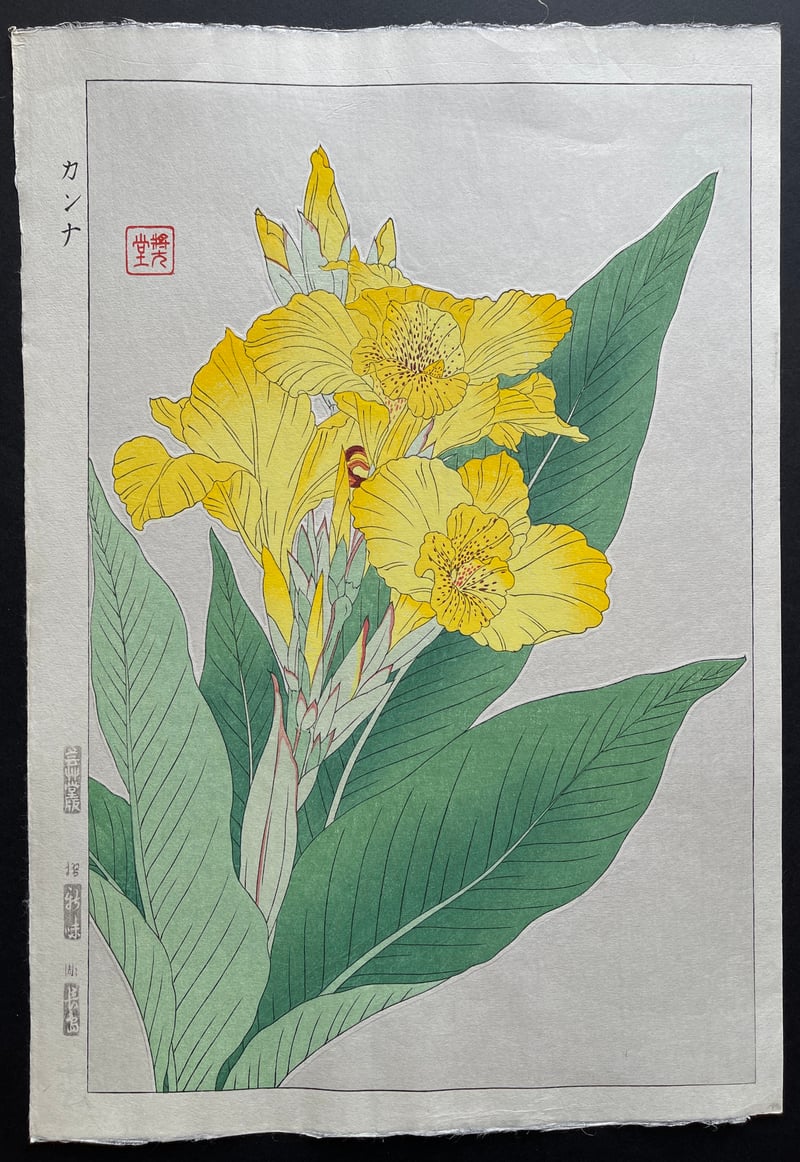 Canna by Kawarazaki Shodo