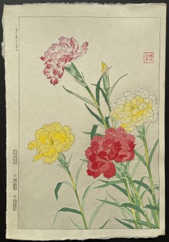 Carnation (Shinmi)