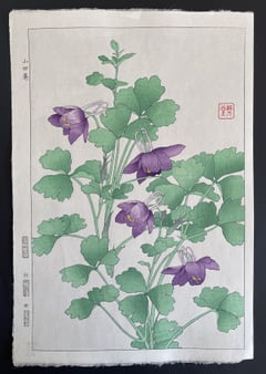 Columbine (Shinmi)