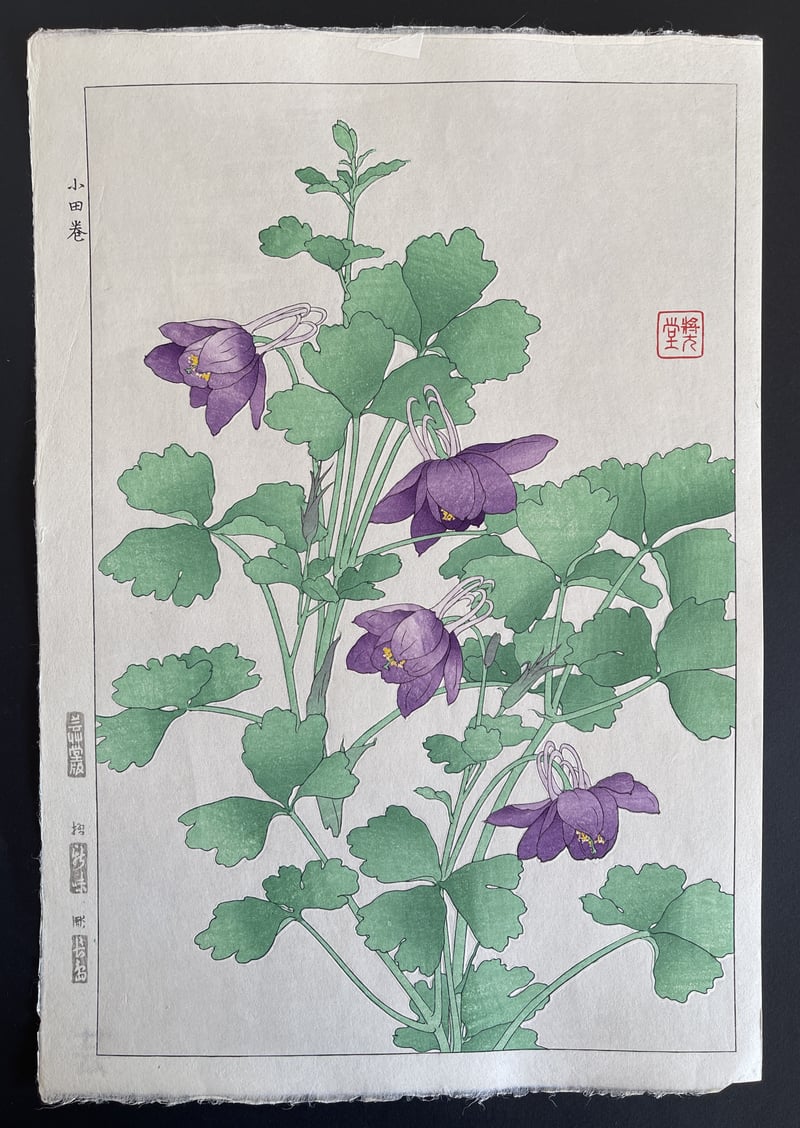 Columbine (Shinmi) by Kawarazaki Shodo