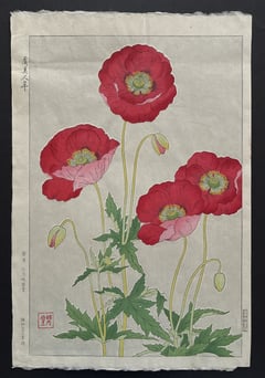 Coquelicot (First Edition)