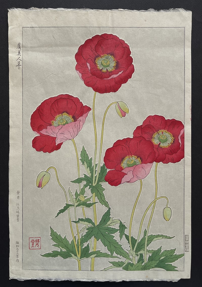 Coquelicot (First Edition) by Kawarazaki Shodo