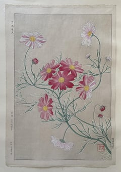 Cosmos (First Edition)