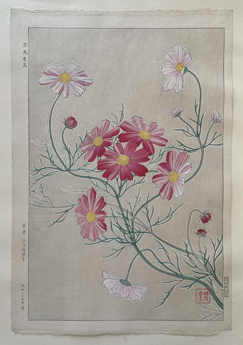 Cosmos (First Edition) by Kawarazaki Shodo