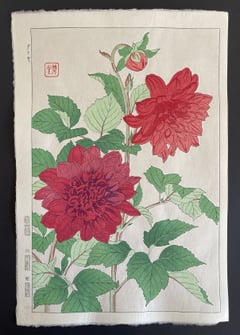 Dahlia (Red) (Shinmi)