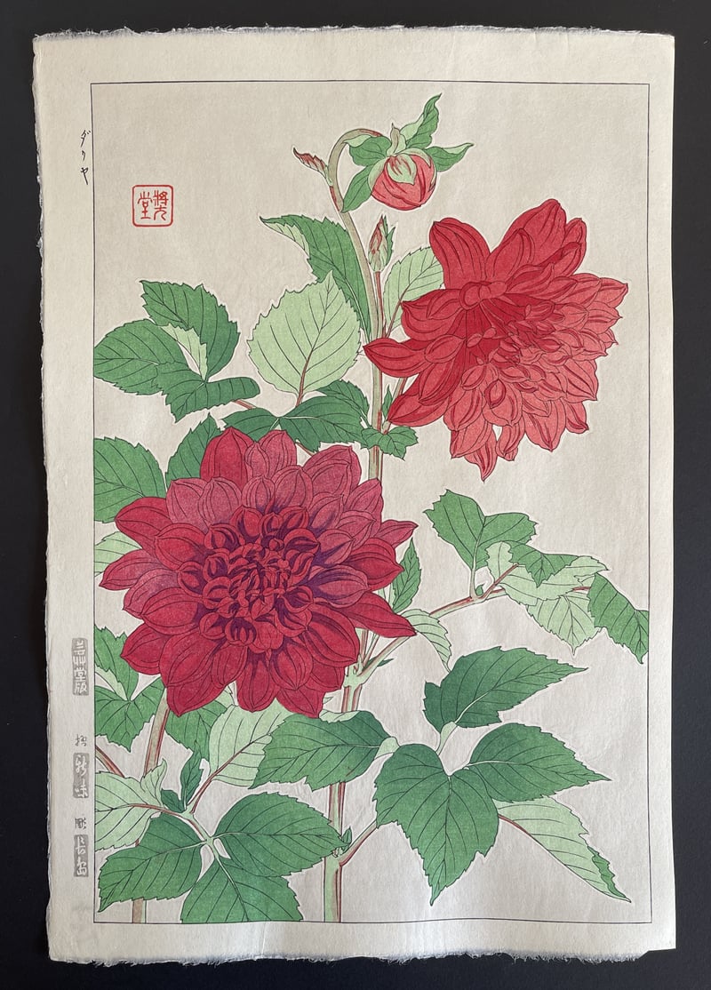 Dahlia (Red) (Shinmi) by Kawarazaki Shodo