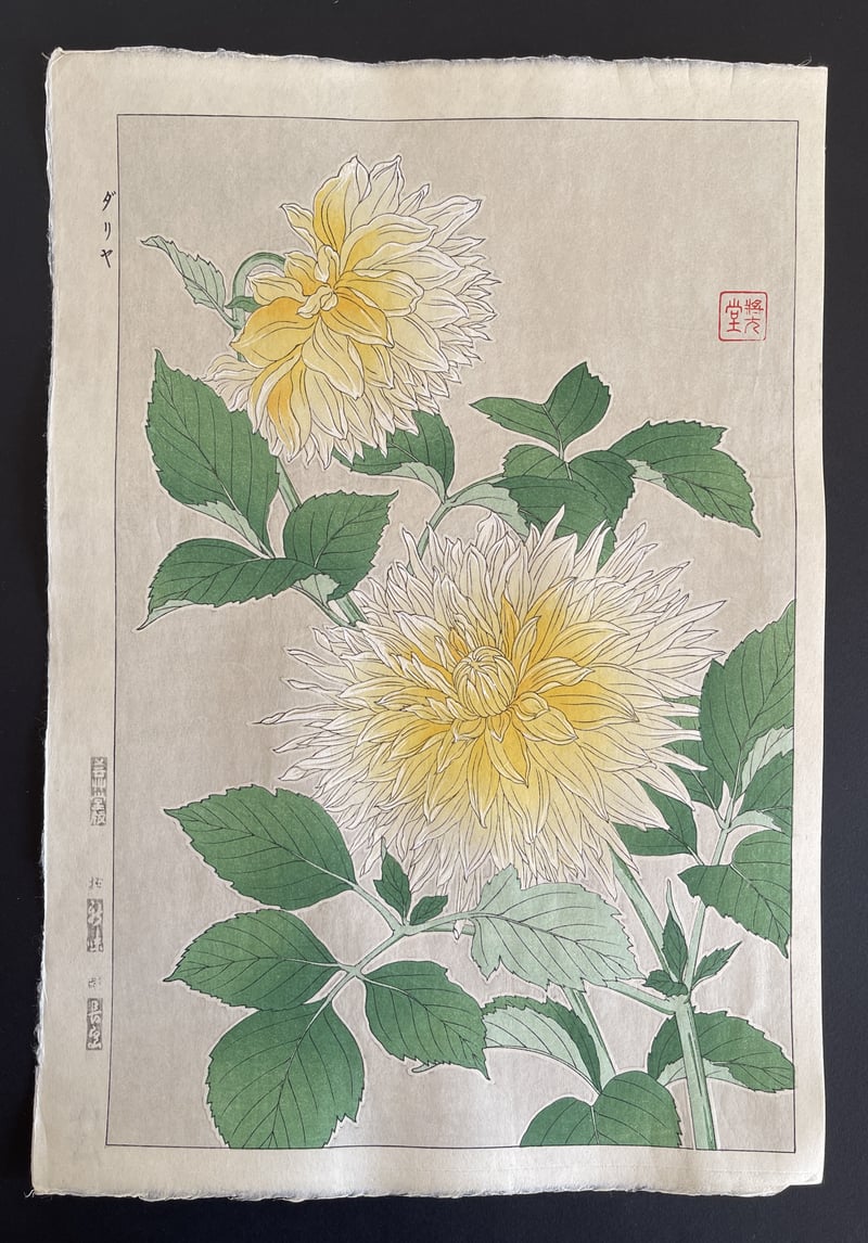 Dahlia (Yellow) (Shinmi) by Kawarazaki Shodo
