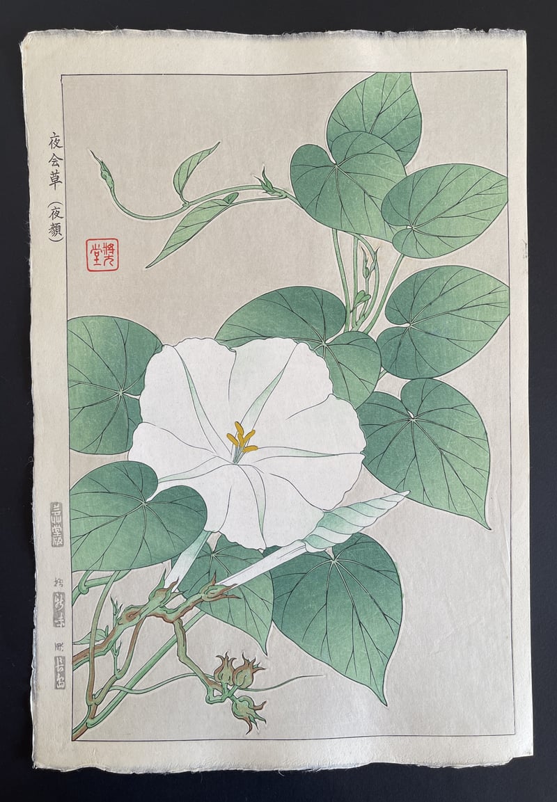 Evening Glory (Shinmi) by Kawarazaki Shodo