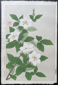 Gardenia (First Edition)