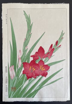 Gladiolous (Shinmi)
