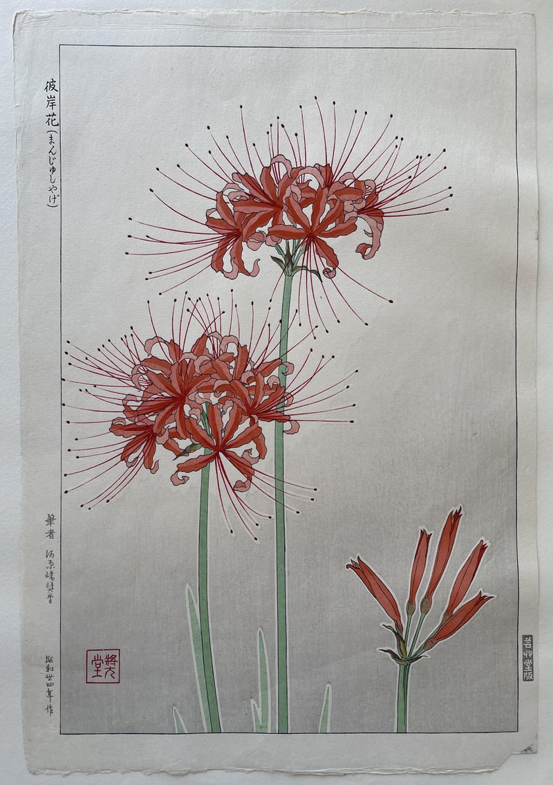 Hurricane Lily (First Edition) by Kawarazaki Shodo