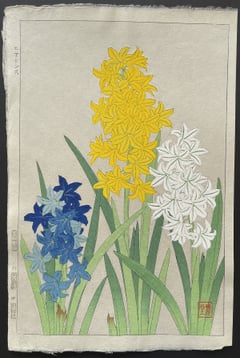 Hyacinth (Shinmi)