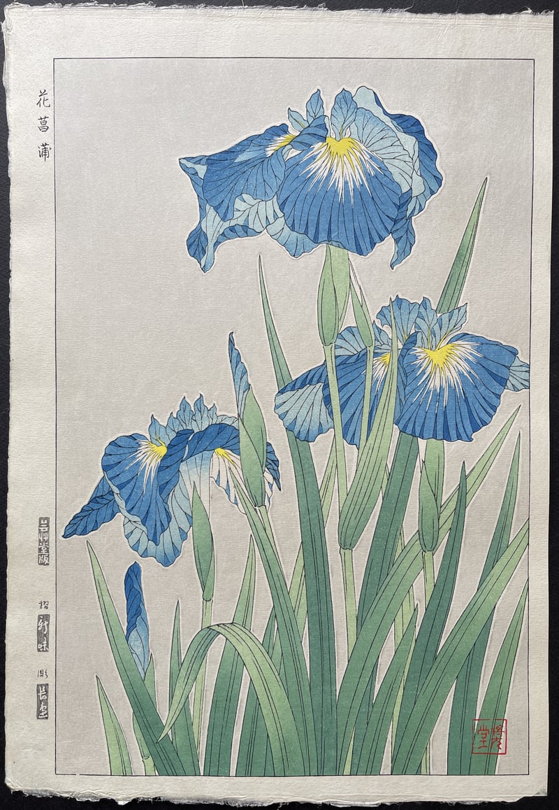 Iris (Mid Edition) by Kawarazaki Shodo