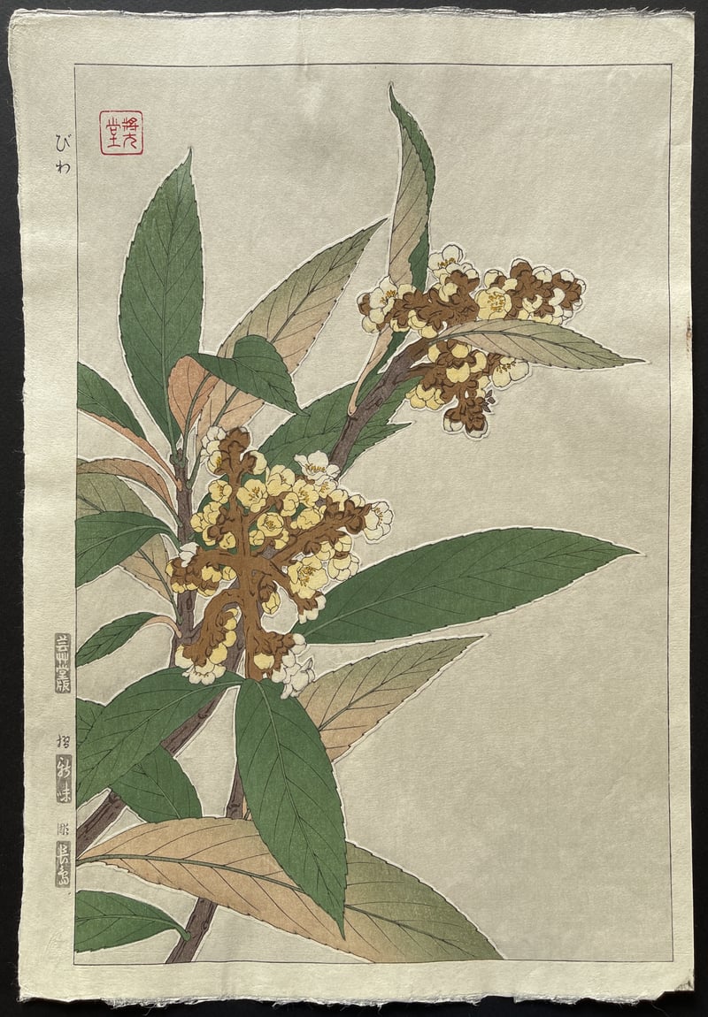 Loquat (Shinmi) by Kawarazaki Shodo