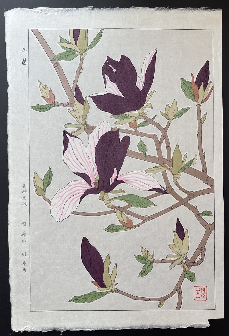 Magnolia by Kawarazaki Shodo