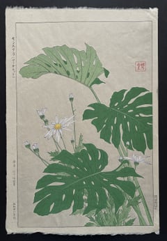 Monstera (Margaret) (First Edition)