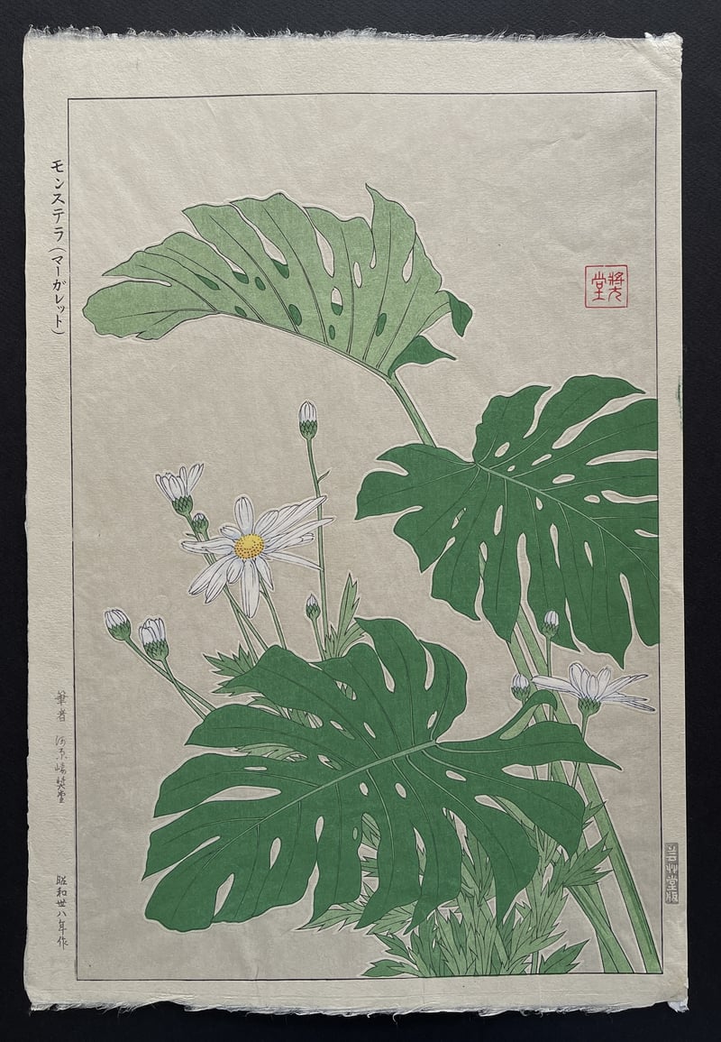 Monstera (Margaret) (First Edition) by Kawarazaki Shodo