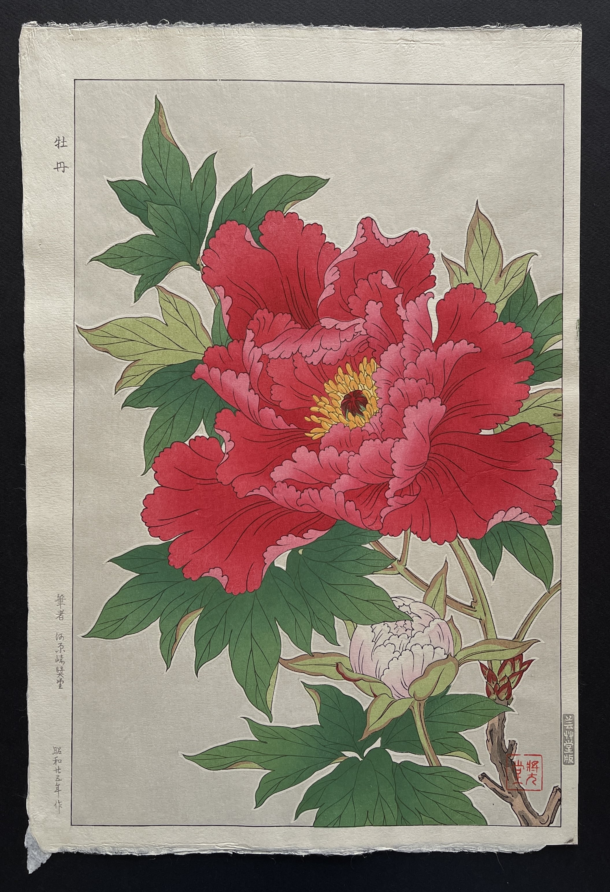【牡丹とpeony】昭和日和その弐 牡丹とpeony】昭和日和その弐 Peony (First Edition) by Kawarazaki