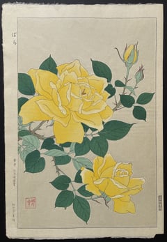 Rose (First Edition)