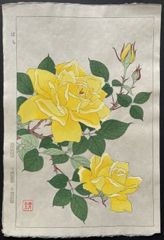 Rose (Shinmi)