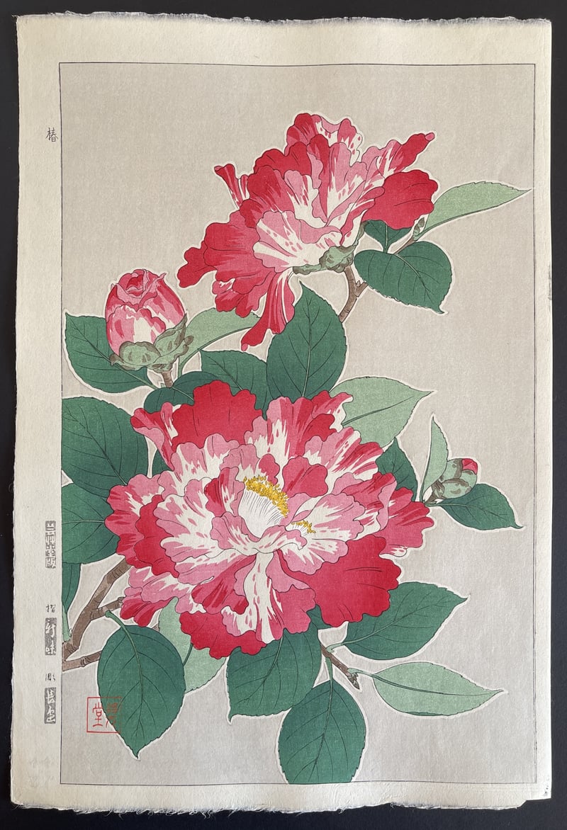 Variegated Camellia (Shinmi) by Kawarazaki Shodo