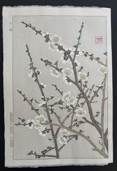 White Plum