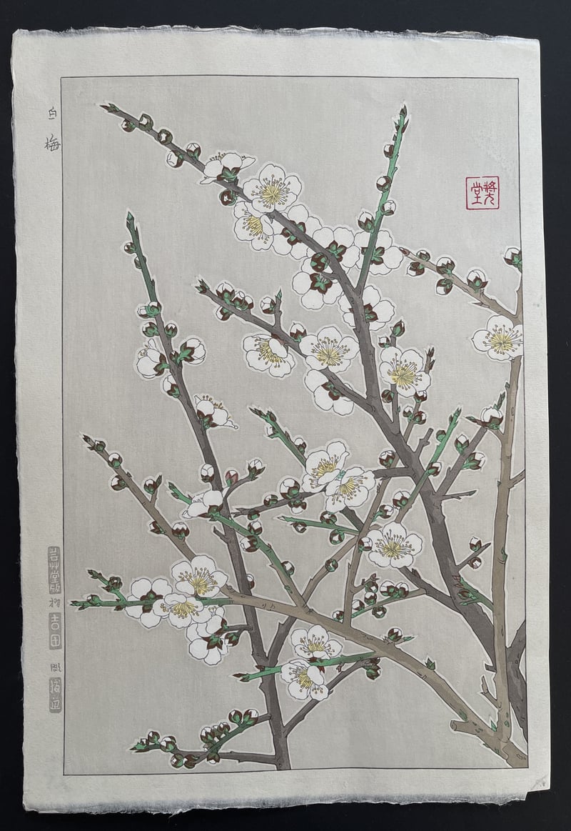 White Plum by Kawarazaki Shodo
