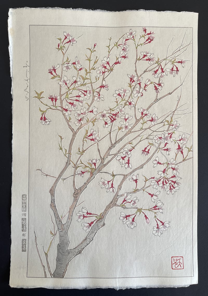 Wild Cherry (Shinmi) by Kawarazaki Shodo