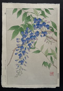 Wisteria (First Edition)