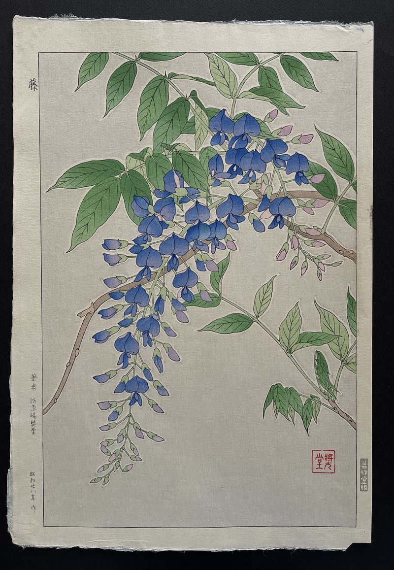 Wisteria (First Edition) by Kawarazaki Shodo
