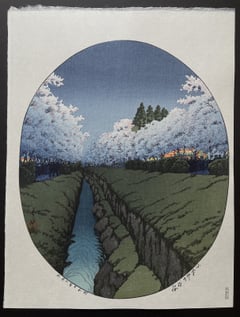 Cherries at Night in Koganei