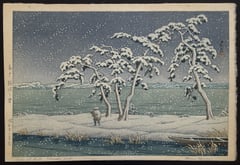 Snow at Hi Marsh, Mito (Lifetime)