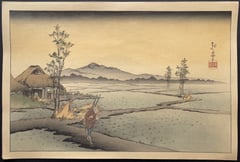 Rice Field