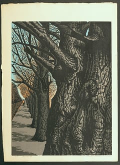 Ginkgo Tree Avenue in Winter