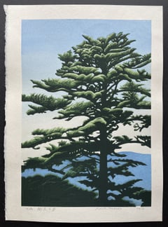 Jumoku no Kei